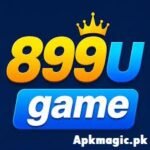 899U Game