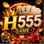 H555 Game