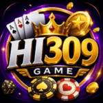 HI309 Game