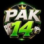 Pak14 Game