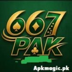 667PAK Game