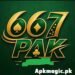 667PAK Game